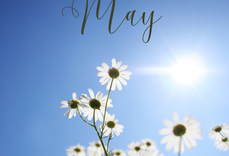 May Breathing Tips: Stay Comfortable & Active This Spring 